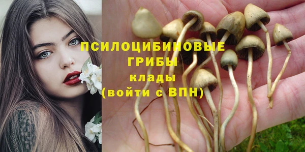 ECSTASY Волоколамск