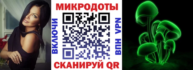 Галлюциногенные грибы Psilocybine cubensis Новошахтинск