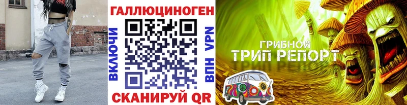 Псилоцибиновые грибы MAGIC MUSHROOMS Новошахтинск